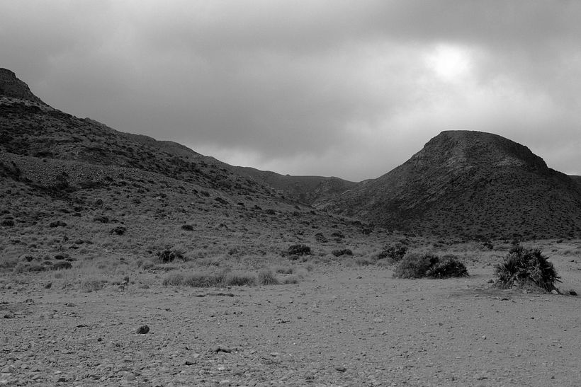 Desert 11