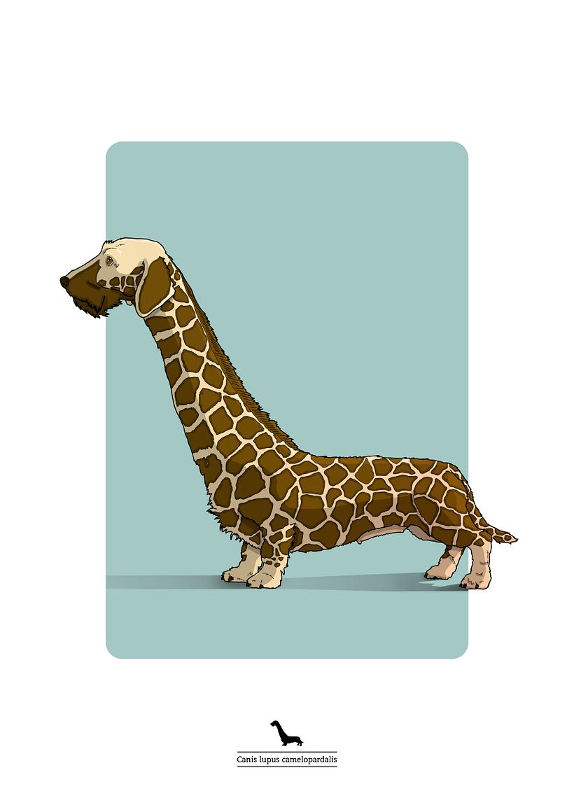 Animalarium 7