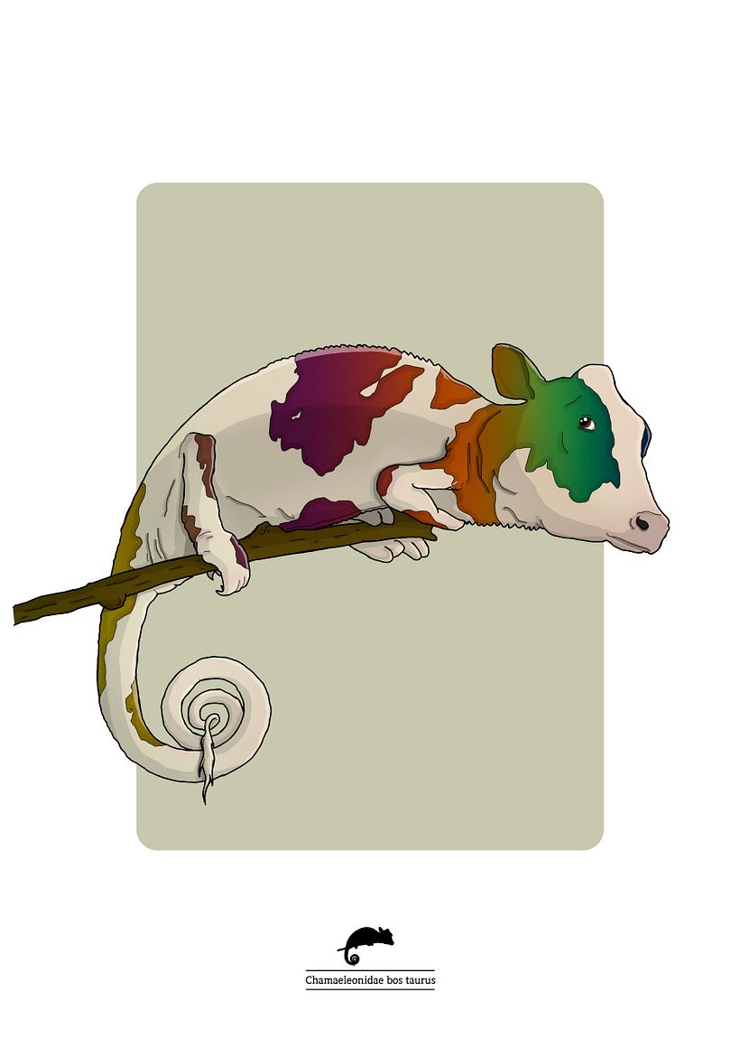 Animalarium 8