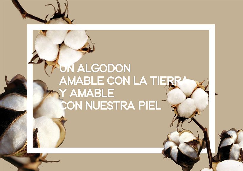 PROYECTO DE MODA SOSTENIBLE - SUAVE DEHISCENCIA -  8