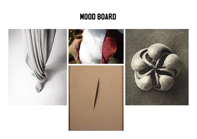 PROYECTO DE MODA SOSTENIBLE - SUAVE DEHISCENCIA -  3