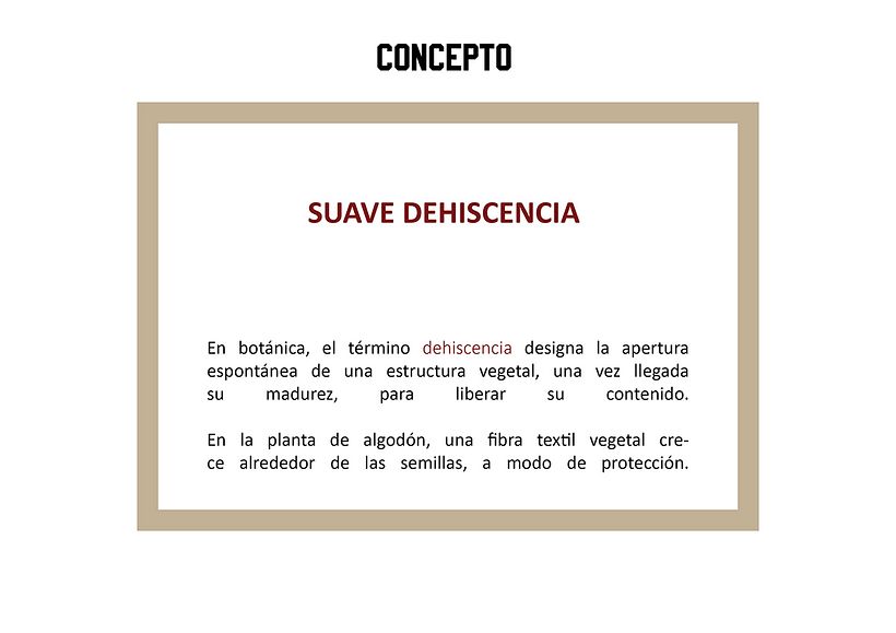 PROYECTO DE MODA SOSTENIBLE - SUAVE DEHISCENCIA -  2