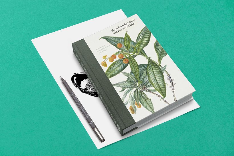 Mi Proyecto del curso: Identidad visual handmade 6