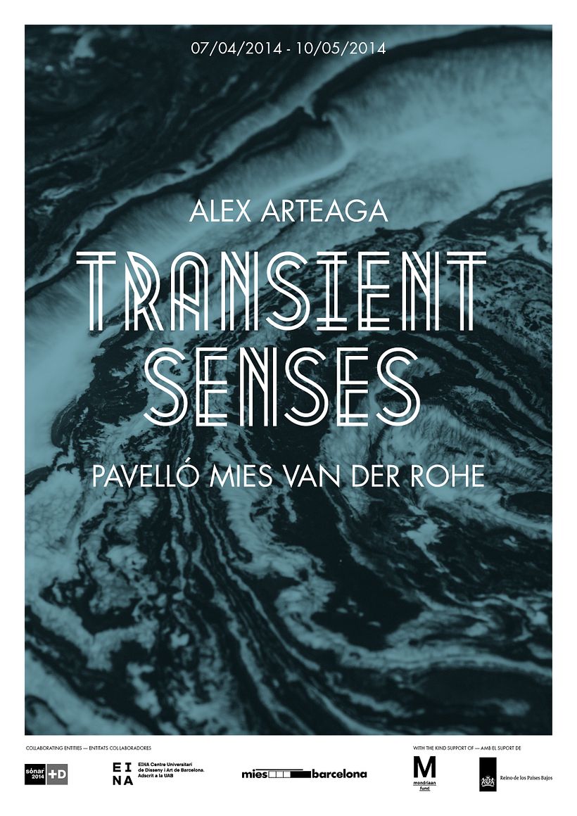 Transient Senses 1