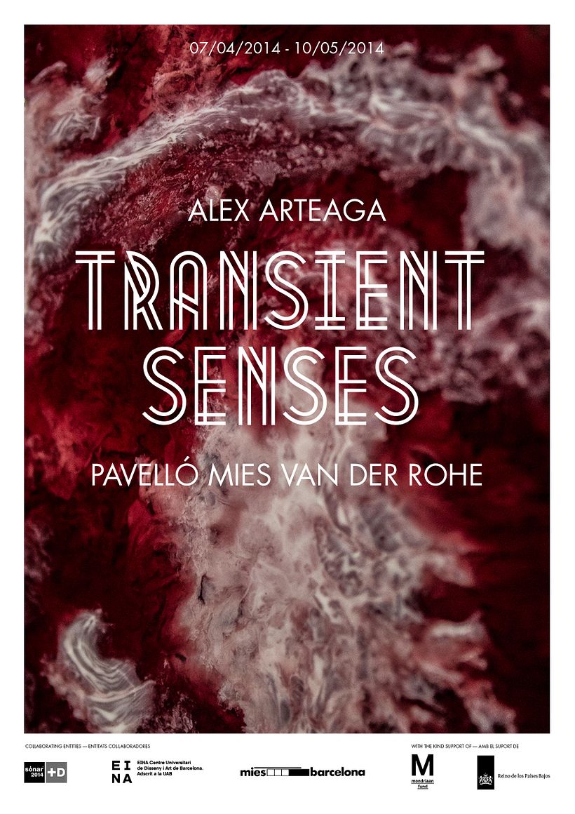 Transient Senses 2