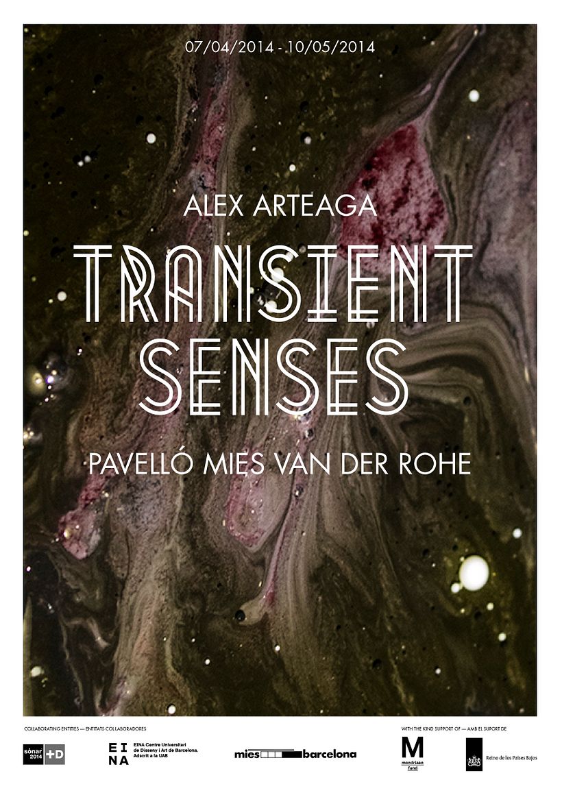 Transient Senses 4
