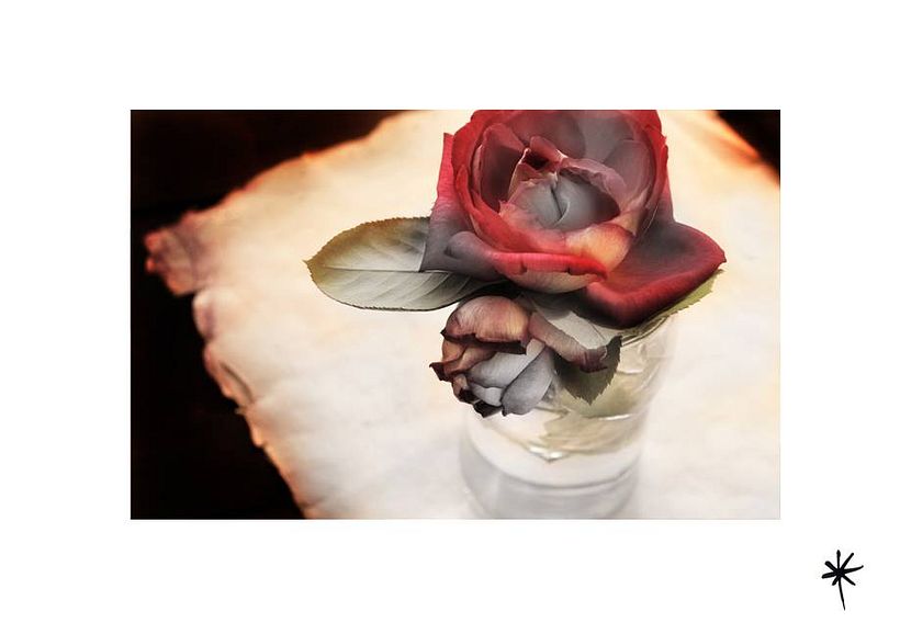 Proyecto personal_Efímera Belleza* 2