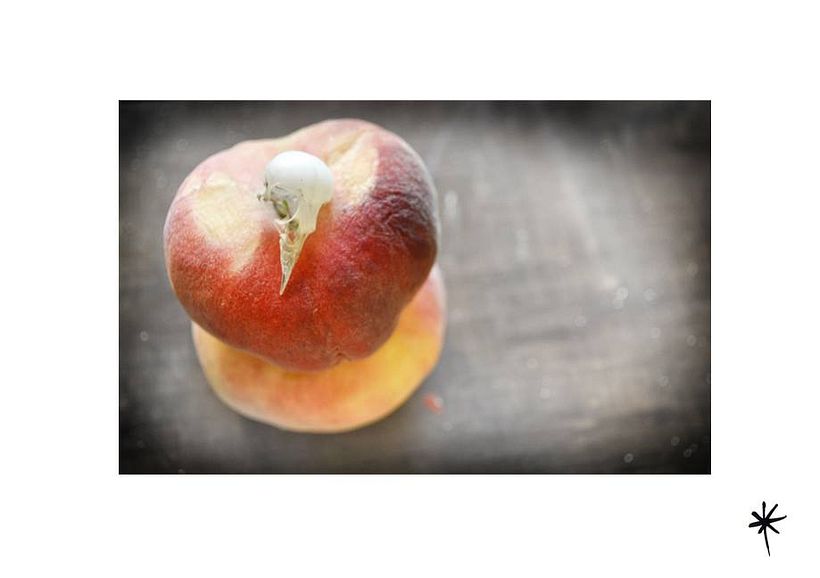 Proyecto personal_Efímera Belleza* 3