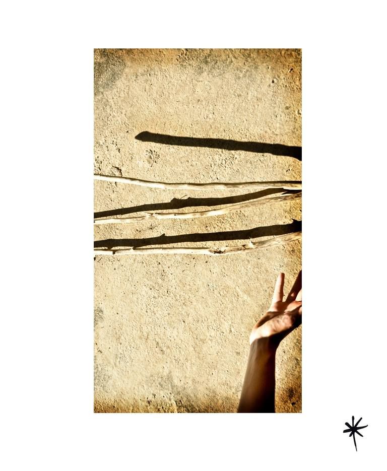 Proyecto personal_Efímera Belleza* 4