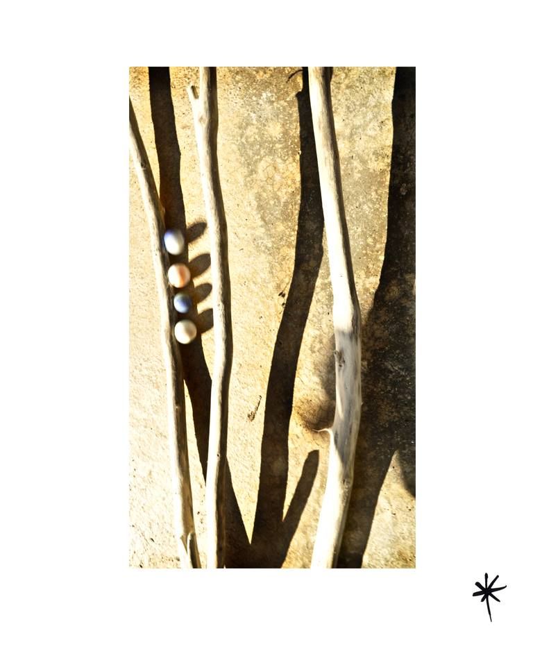 Proyecto personal_Efímera Belleza* 5