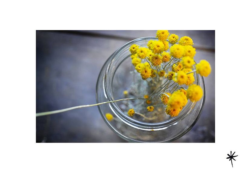 Proyecto personal_Efímera Belleza* 7