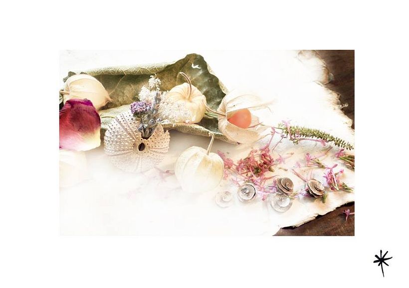 Proyecto personal_Efímera Belleza* 8