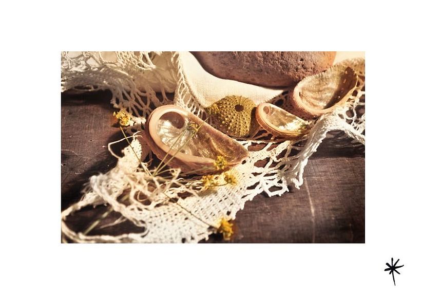 Proyecto personal_Efímera Belleza* 12