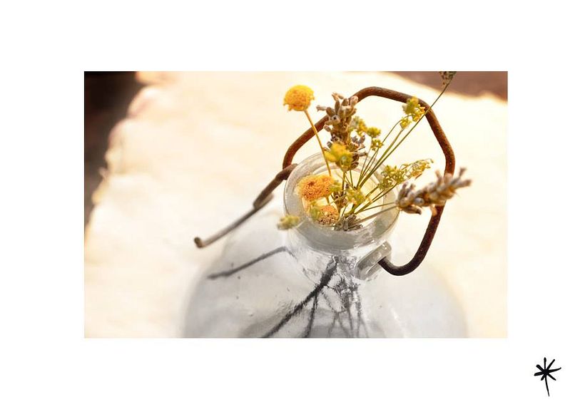 Proyecto personal_Efímera Belleza* 13