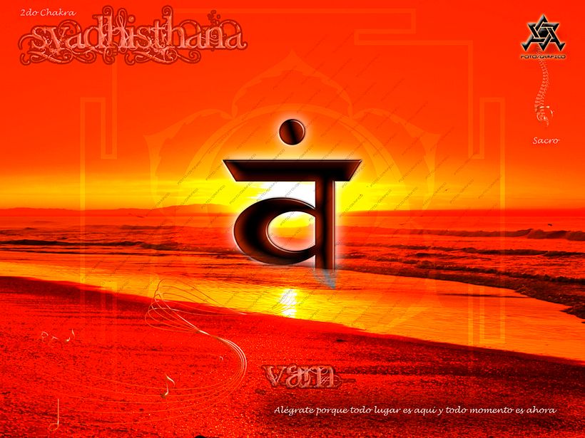 CHAKRAS, concepto para aprendérselos 1