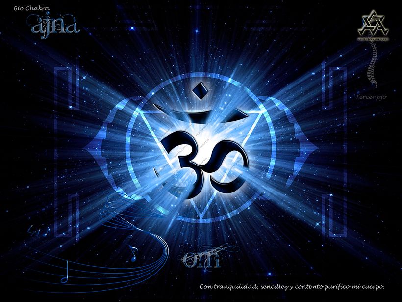 CHAKRAS, concepto para aprendérselos 5