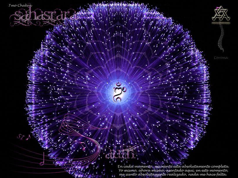 CHAKRAS, concepto para aprendérselos 6