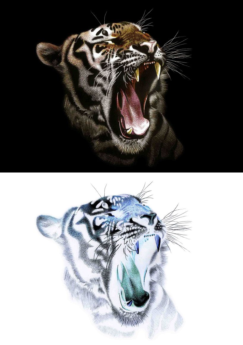 Inverted Drawings (Indómito) 2016 3