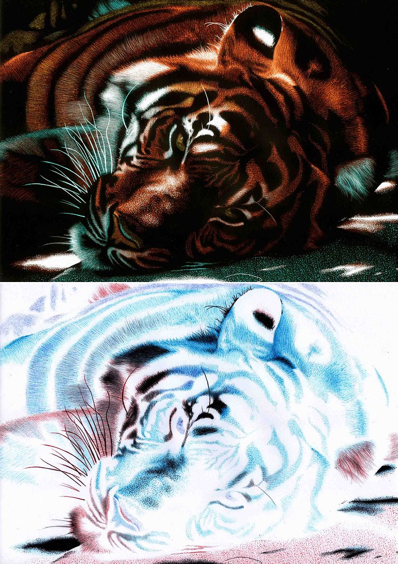 Inverted Drawings (Indómito) 2016 4