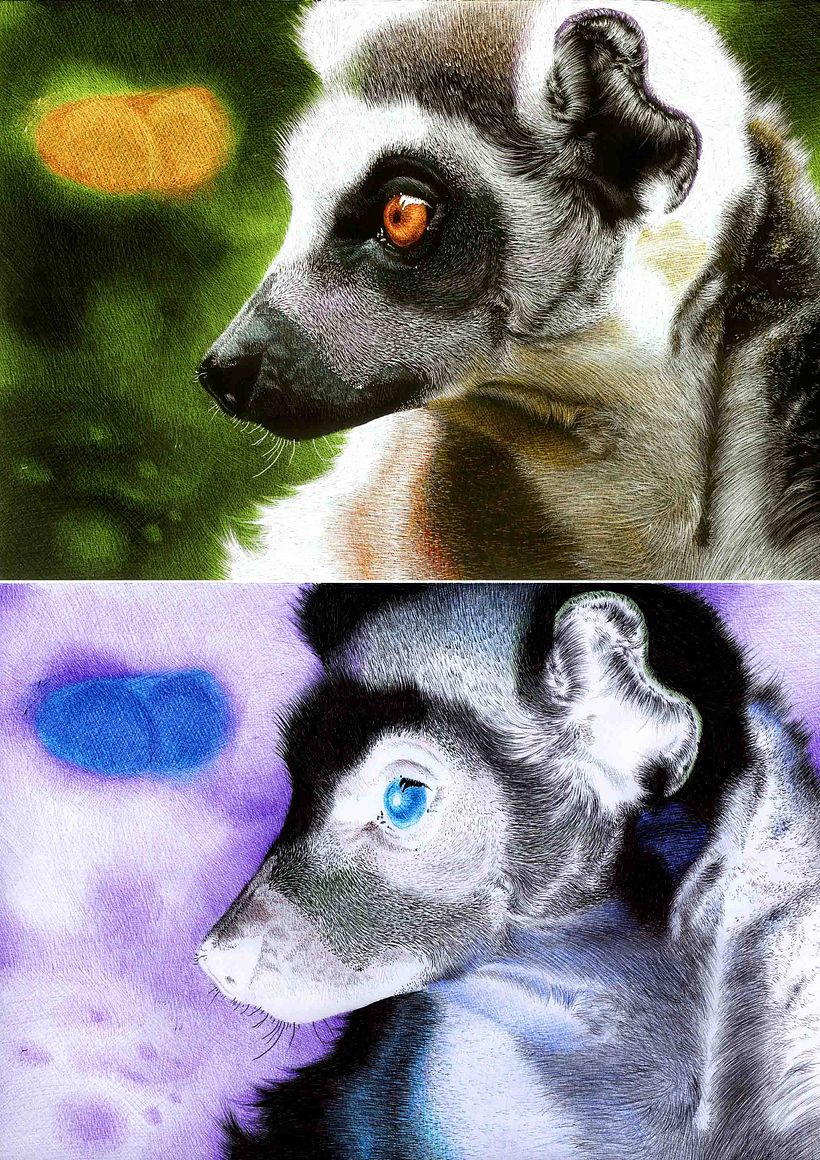 Inverted Drawings (Indómito) 2016 12