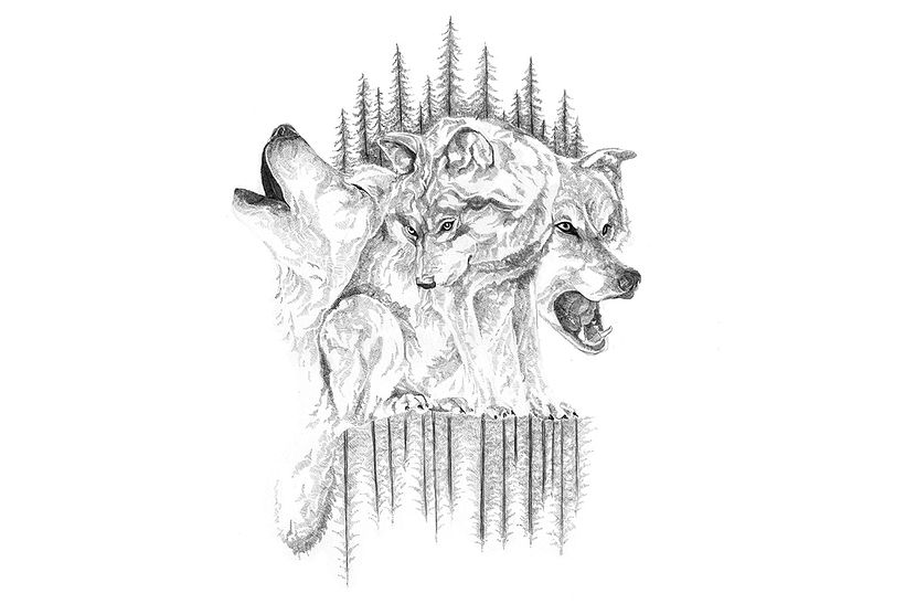 Wolves  -1