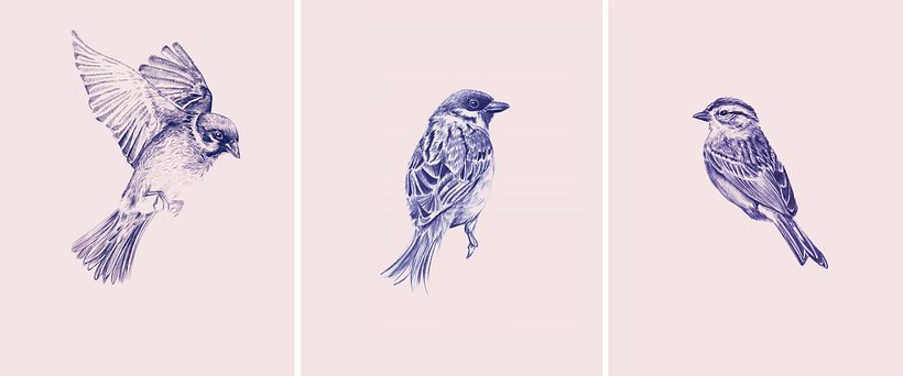 Birds I -1