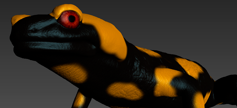 Salamandra 0