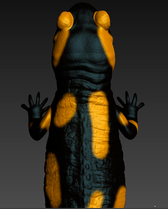 Salamandra 2