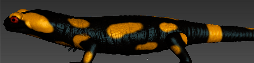 Salamandra 3