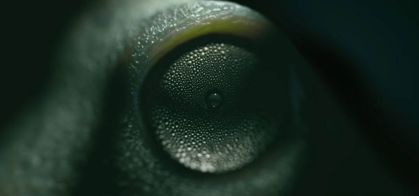 Preguntamos a profesionales sobre Cinema 4D R18 1