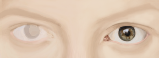 Nuevo Proyecto 2016 1