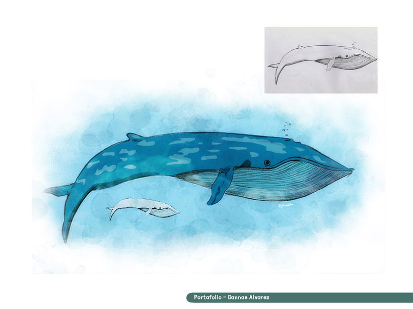 Portafolio 5