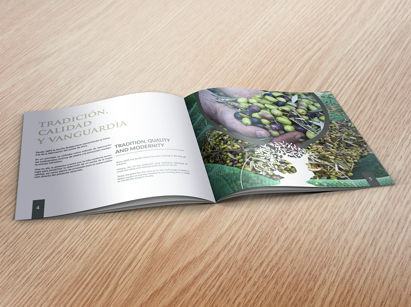 Diseño Dossier Empresa - Almanzara de aceite 2