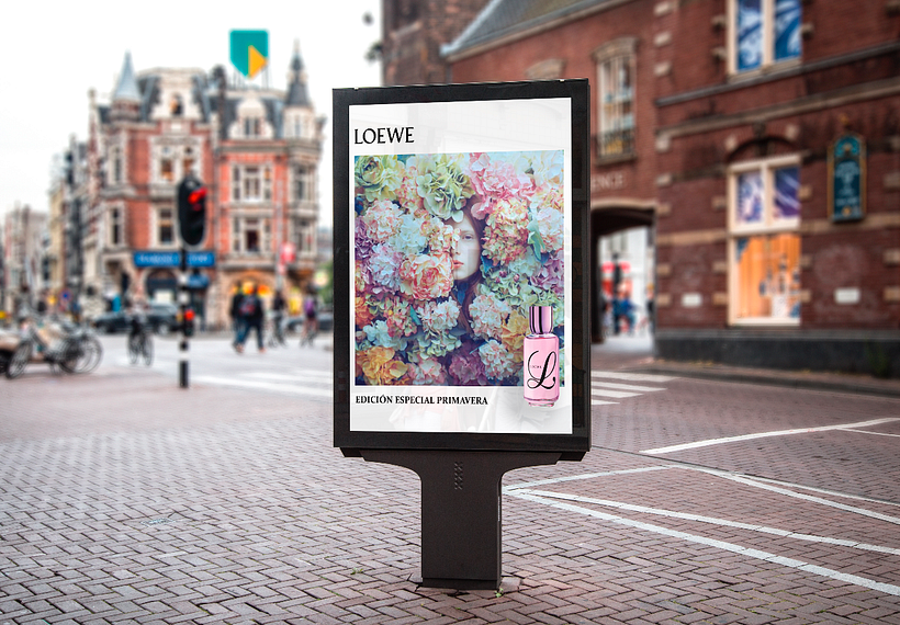 Nueva edición Loewe 6
