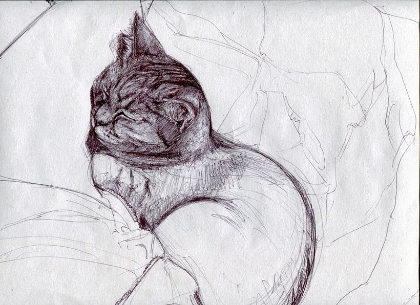 Dibujo a bolígrafo -1