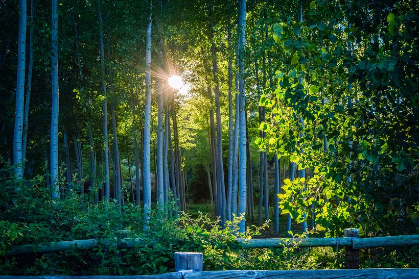 "Popurrí" de bienvenida 4