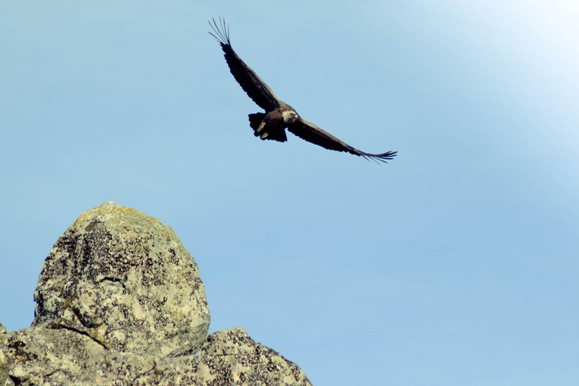 "Popurrí" de bienvenida 3