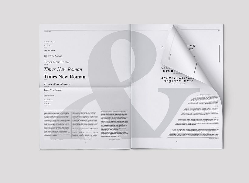 Times New Roman | Specimen 6