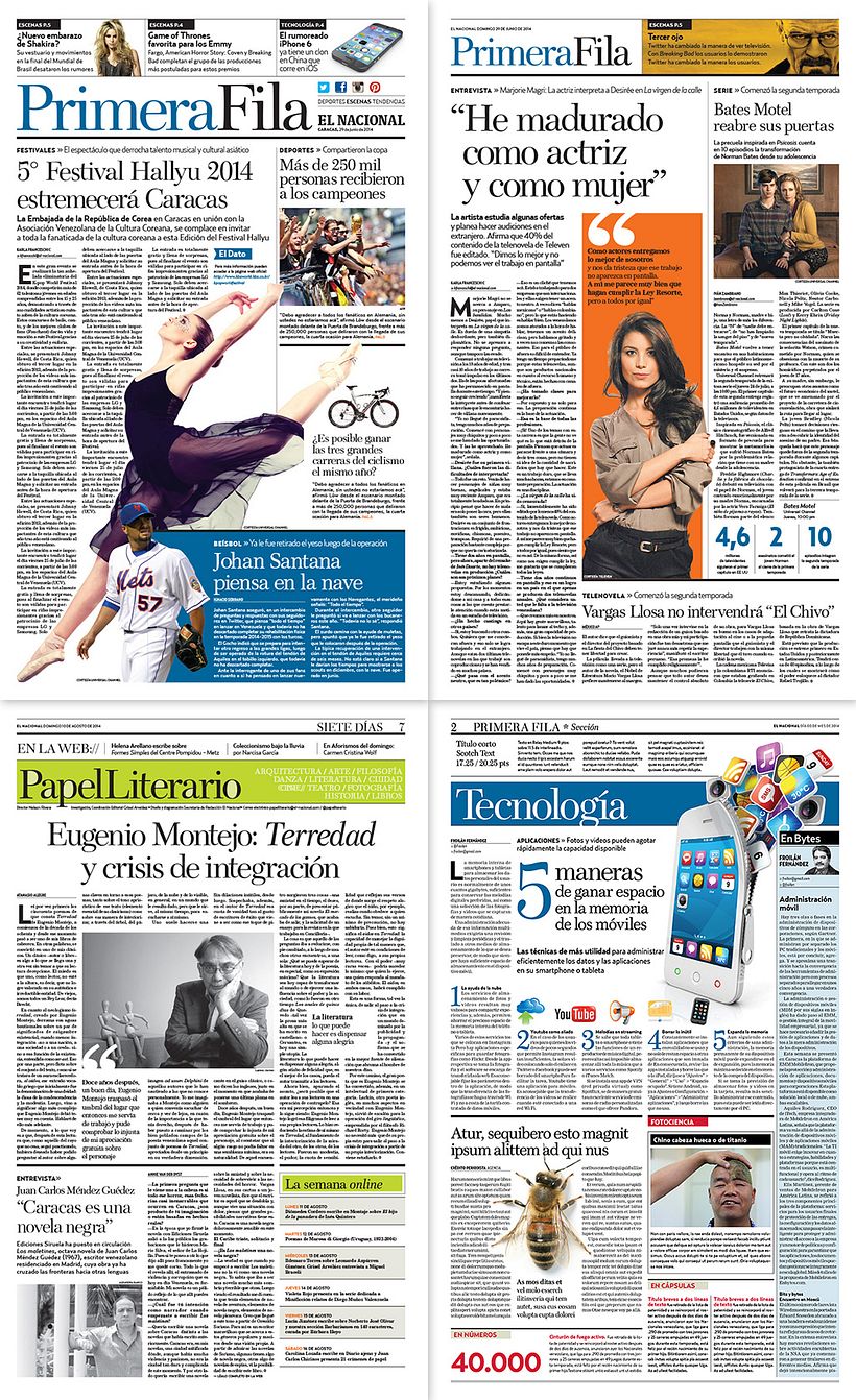 Newspapers / Newsletters 3