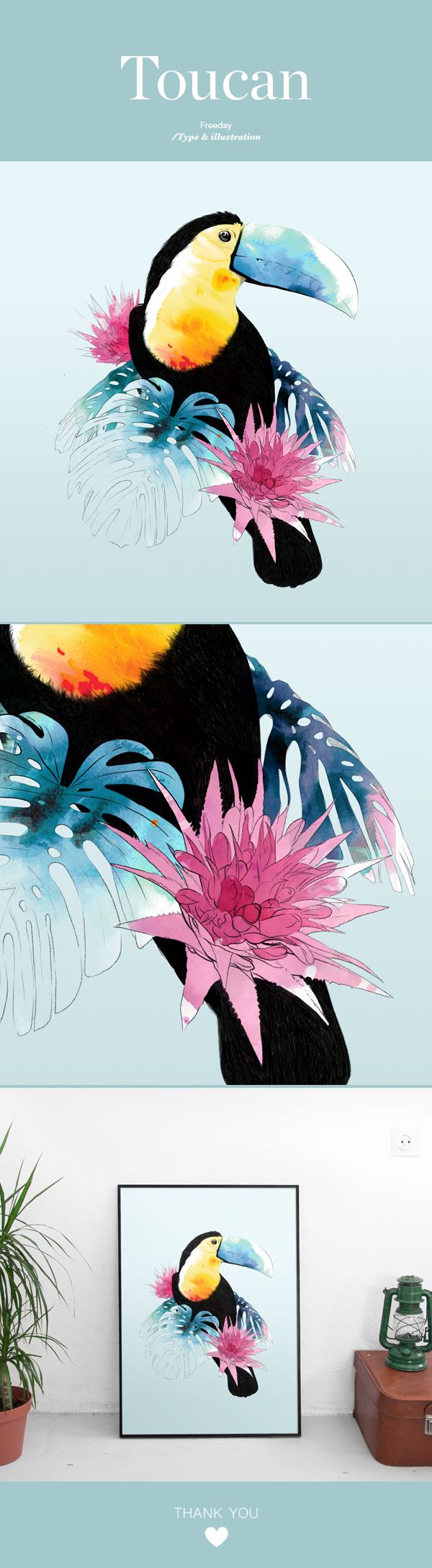 Toucan 1