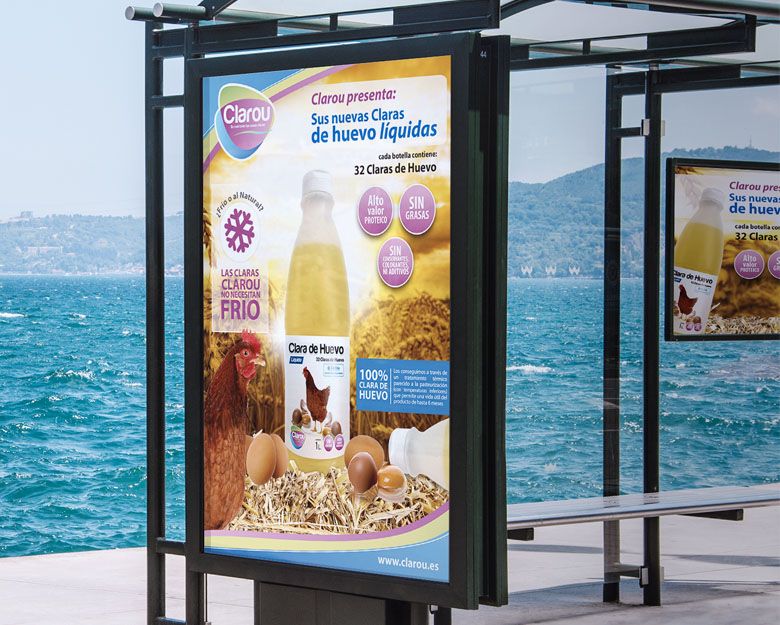 Diseño corporativo y publicitario para Clarou. 7