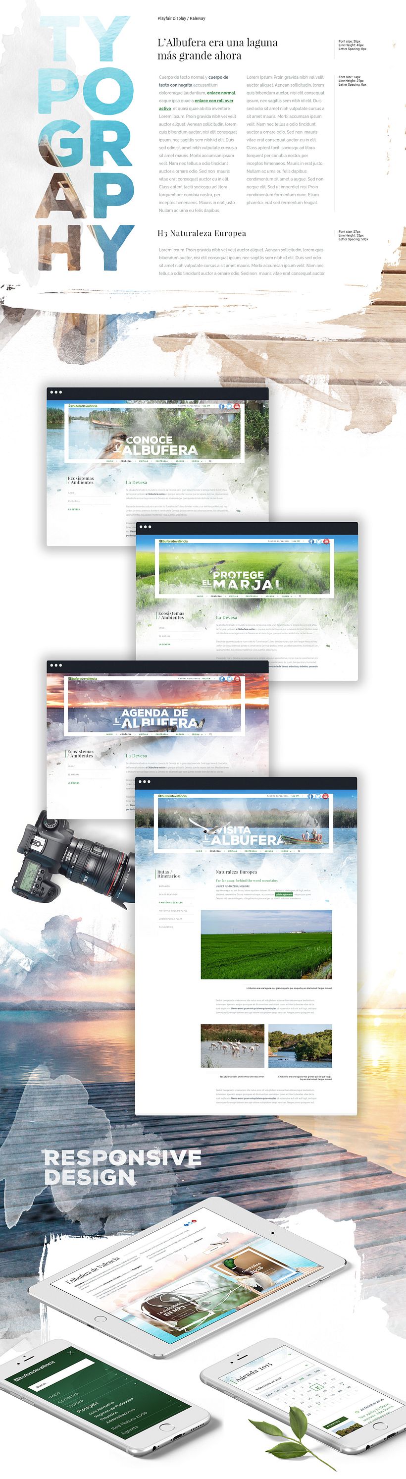Diseño website - Parque Natural Devesa / Albufera - Ayuntamiento de Valencia 1