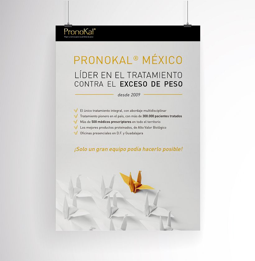 Póster y newsletter 1