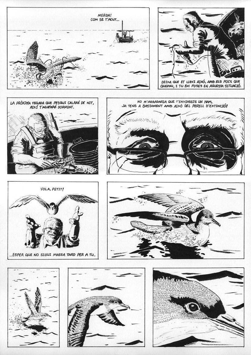 "Virot petit" (Pardela balear) 0