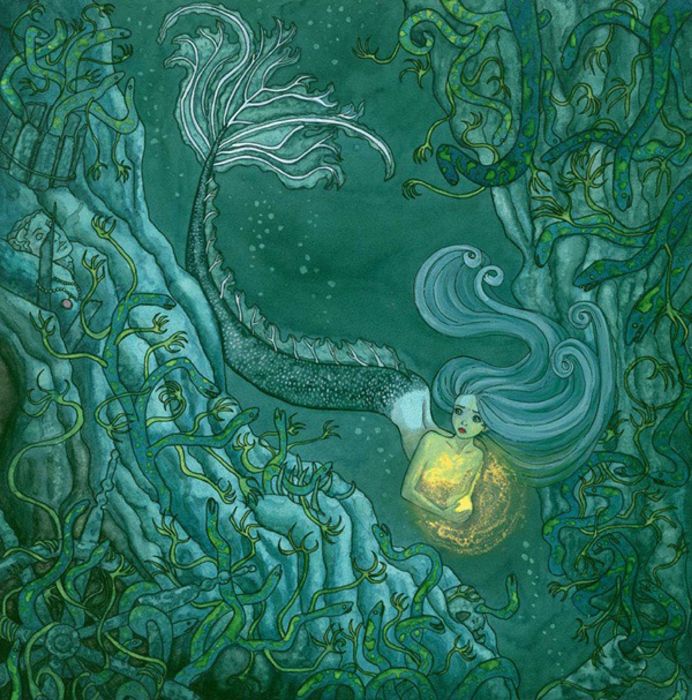 Portfolio 24