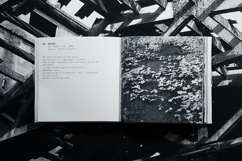The Knife — Tomorrow, In A Year 15