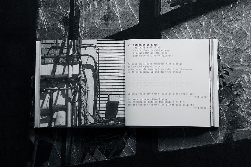The Knife — Tomorrow, In A Year 13