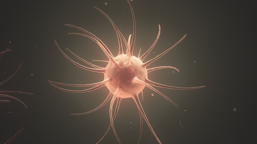 Cell (Cinema 4D) 0