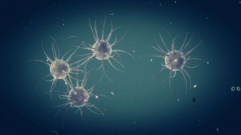 Cell (Cinema 4D) 1