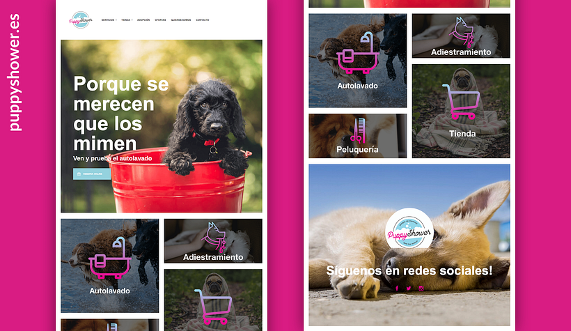 Puppy Shower Bilbao -1